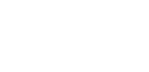 Dashing Youth logo