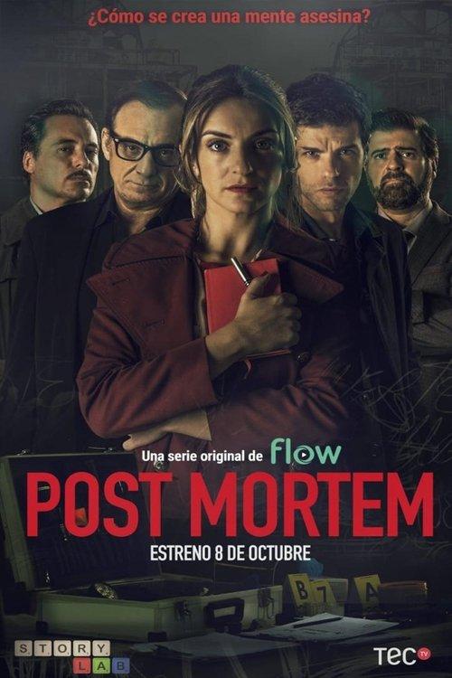 Post Mortem dizi afişi