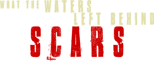 What the Waters Left Behind: Scars logo