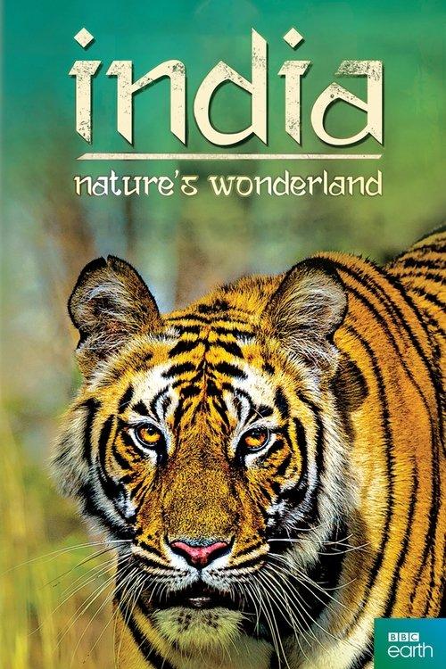 India: Nature's Wonderland dizi afişi