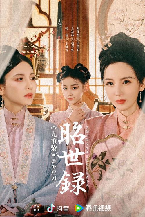 Zhao Shi Lu dizi afişi