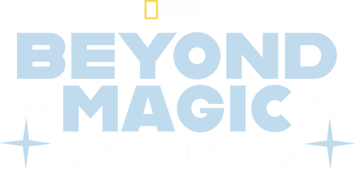 Beyond Magic with DMC logo