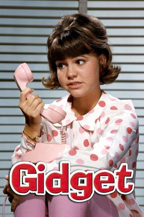 Gidget dizi afişi