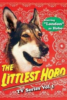 The Littlest Hobo Sezon 1