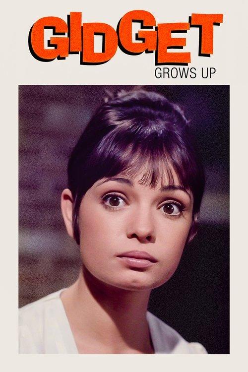 Gidget Grows Up film afişi