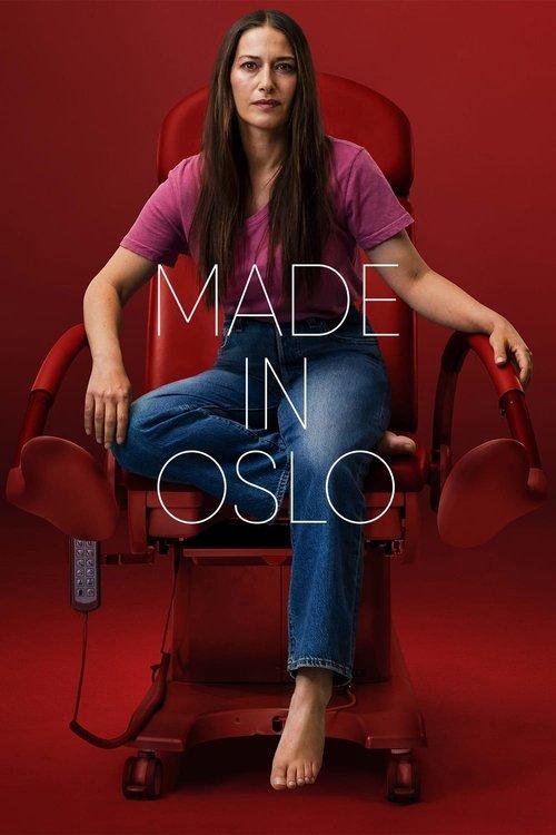 Made in Oslo dizi afişi