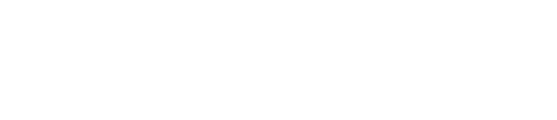 The Completely Made-Up Adventures of Dick Turpin logo