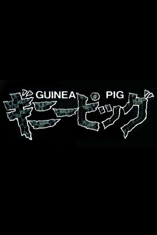 Guinea Pig Collection koleksiyon afişi