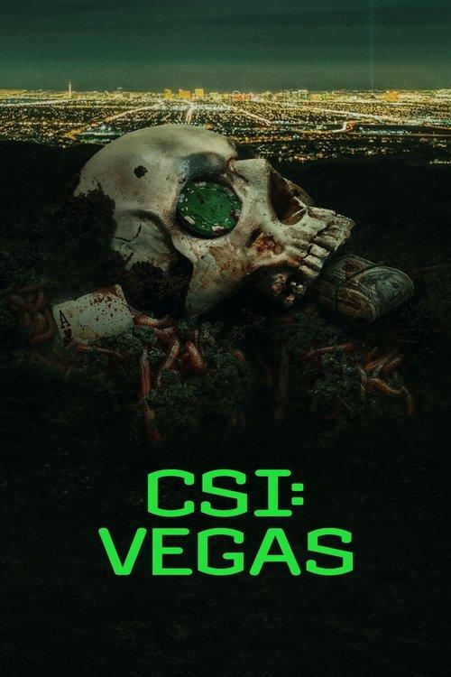 CSI: Vegas Sezon 1