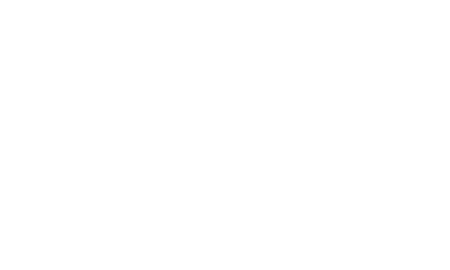 Love in the Time of Cholera logo