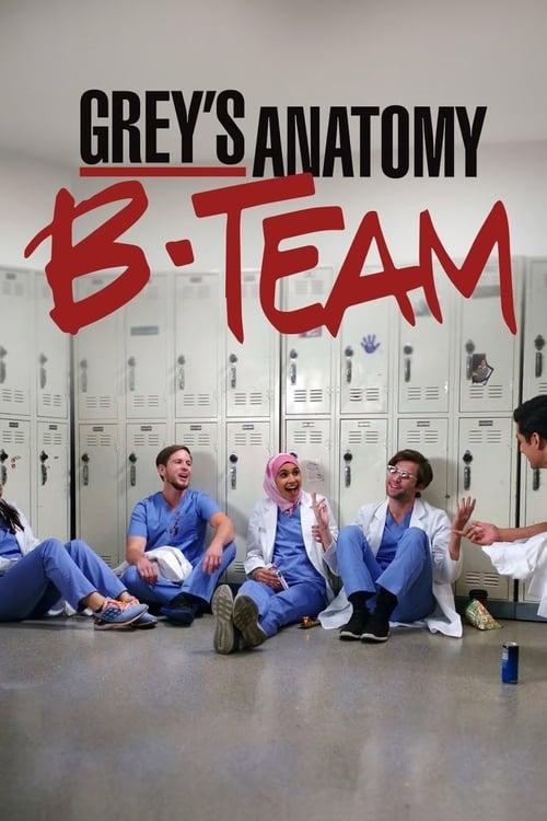 Grey's Anatomy: B-Team dizi afişi