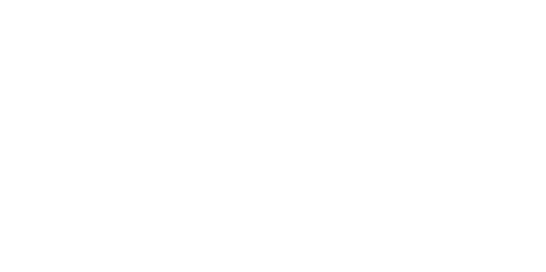 The Tailor logo