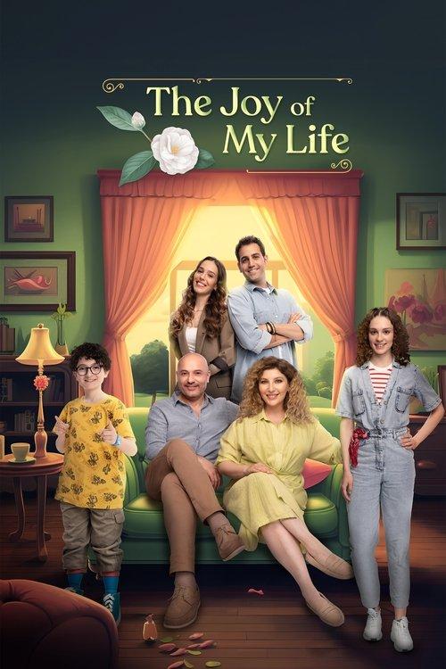 The Joy of My Life dizi afişi
