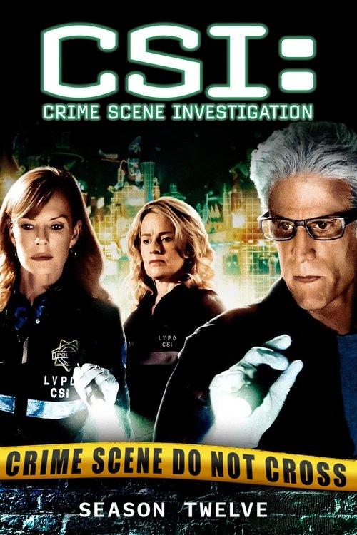 CSI: Crime Scene Investigation Sezon 12
