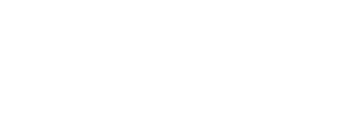 The Assassin logo