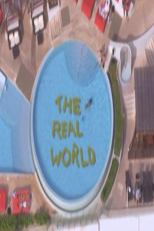 The Real World Sezon 22
