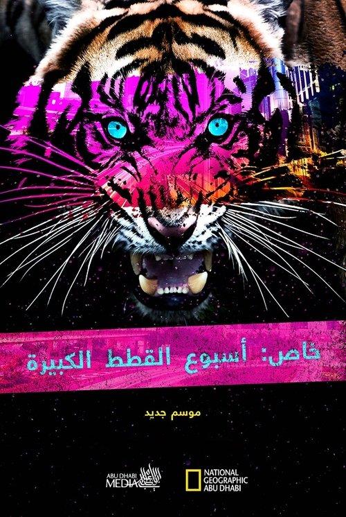 Big Cat Week Collection dizi afişi