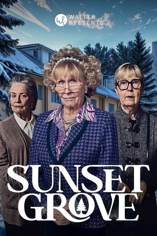 Sunset Grove dizi afişi