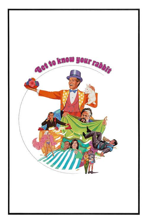 Get to Know Your Rabbit film afişi