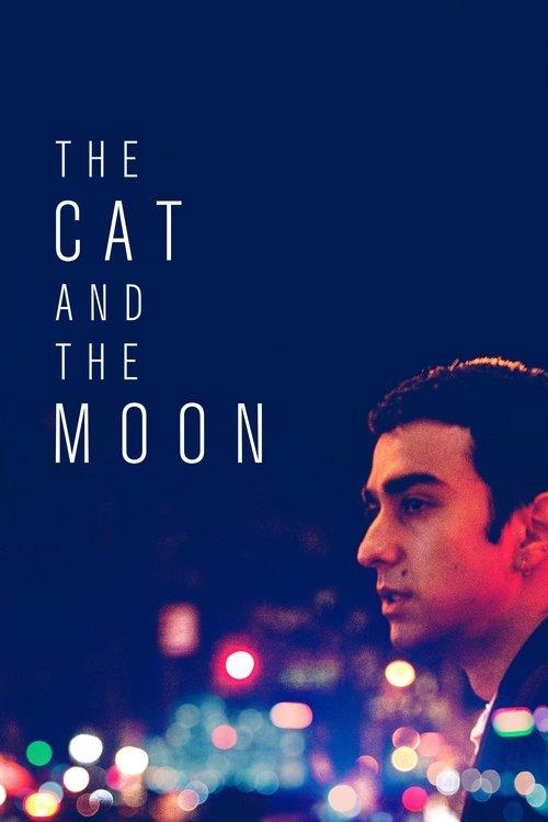 The Cat and the Moon film afişi