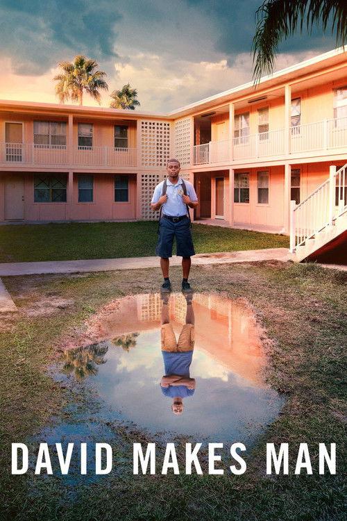 David Makes Man Sezon 1
