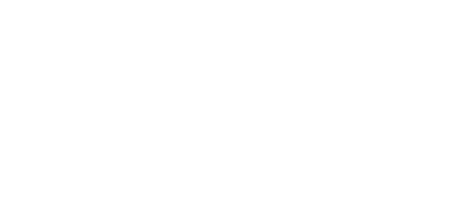 Web of Lies logo