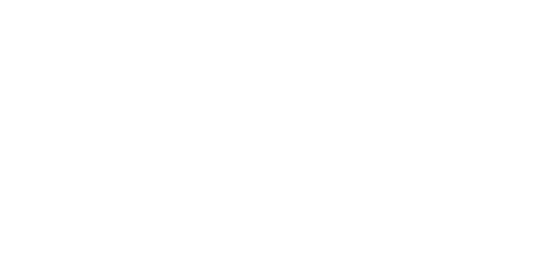 Bluey logo