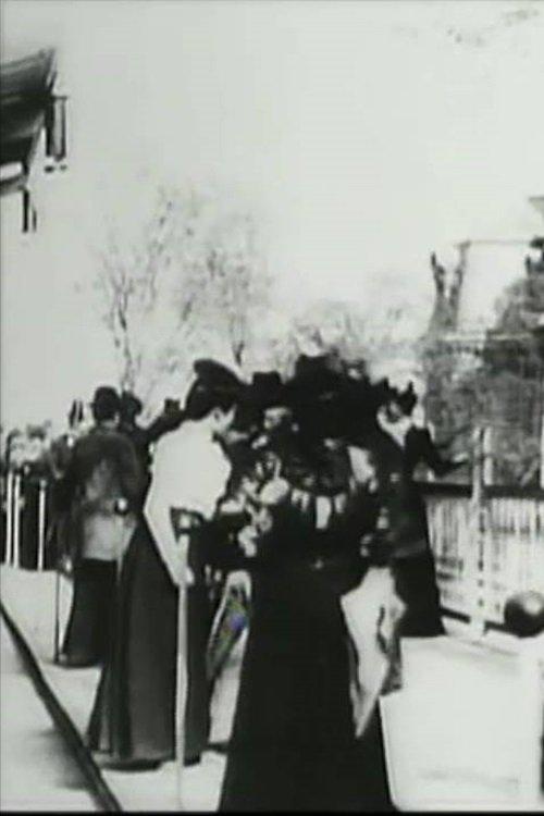 A View Taken from a Mobile Platform II film afişi