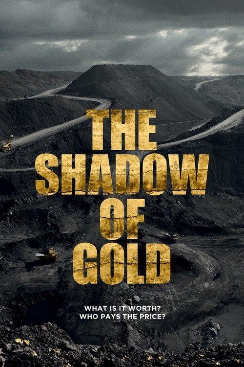 The Shadow of Gold dizi afişi