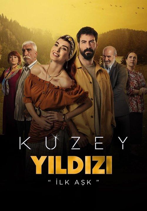 Kuzey Yıldızı: İlk Aşk dizi afişi