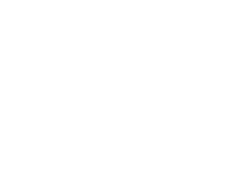 The Blossoming Love logo