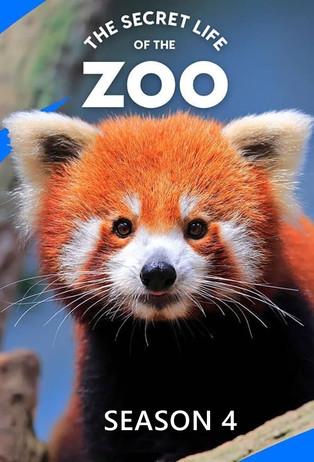 The Secret Life of the Zoo Sezon 4