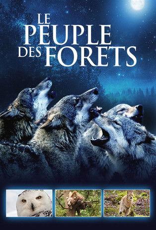 Le Peuple des forêts Sezon 1