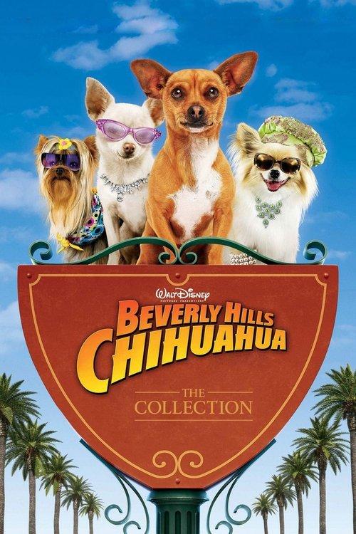Beverly Hills Chihuahua Collection koleksiyon afişi