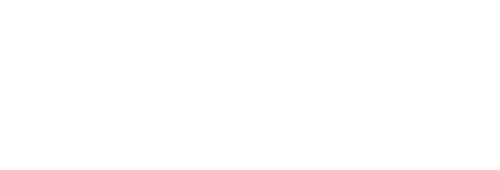 Darkman II: The Return of Durant logo