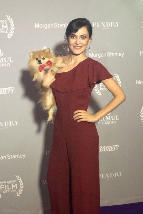 Stare Yildirim fotoğrafı