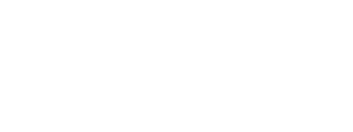 Bitz and Bob logo