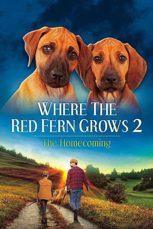 Where The Red Fern Grows Part 2 film afişi