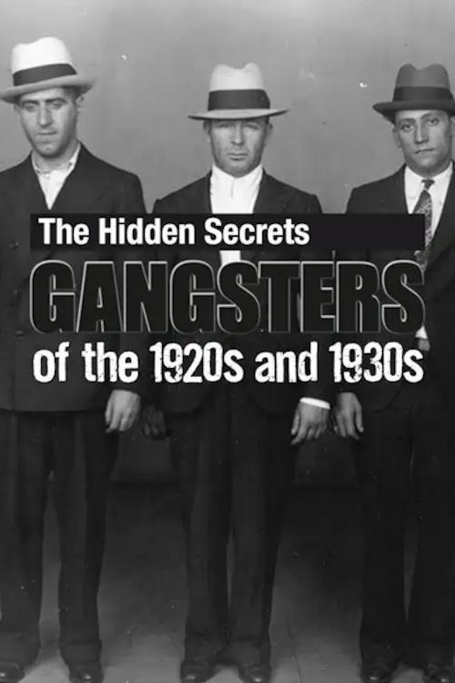 The Hidden Secrets: Gangsters of the 1920s and 1930s film afişi