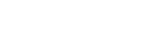 Never Have I Ever logo