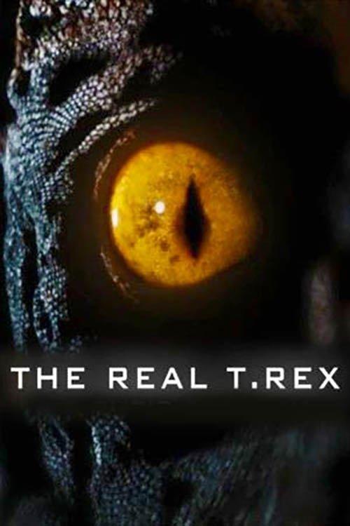 The Real T Rex with Chris Packham film afişi