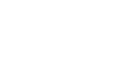 Selena: The Series logo