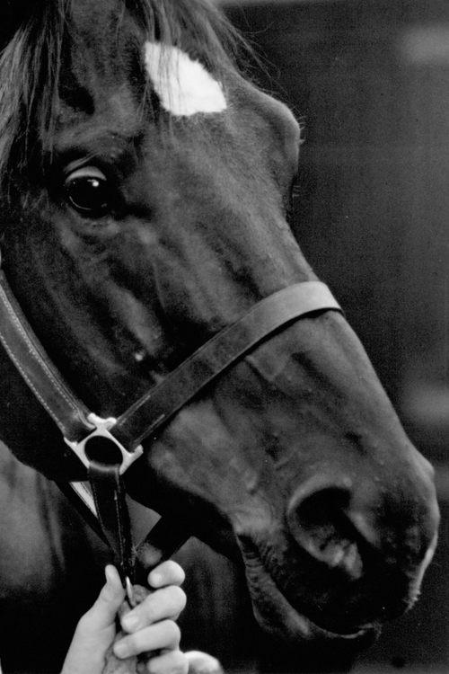 Docs Keepin Time fotoğrafı