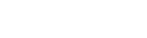 Bullet Train logo