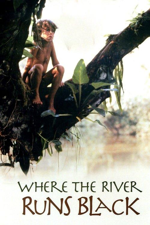 Where the River Runs Black film afişi