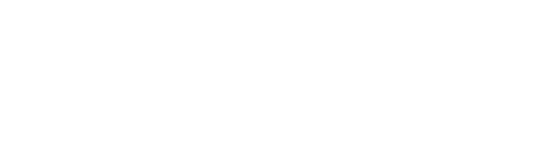 The Winning Try logo