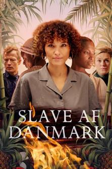 Slave af Danmark dizi afişi