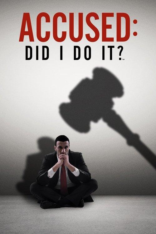 Accused: Did I Do It? dizi afişi