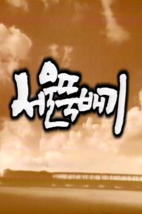 서울뚝배기 dizi afişi