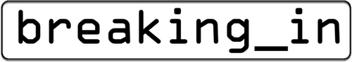 Breaking In logo